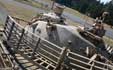 T59 Iraq