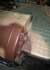 anther detail